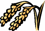 eb6c91c9.gif
