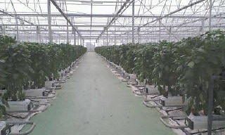 5cb00700.jpg