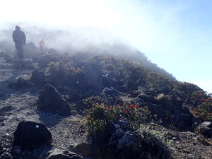 P7153643