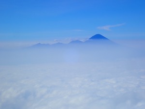 P7153644b
