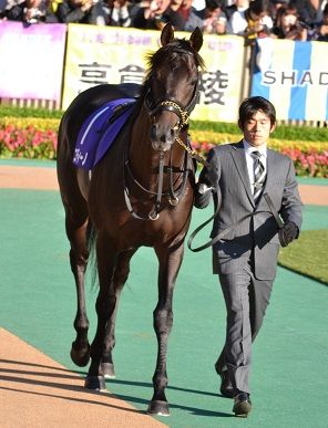 ハロン369
