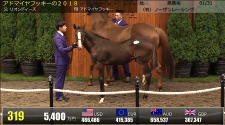 ハロン5353