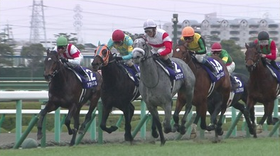 ハロン1661