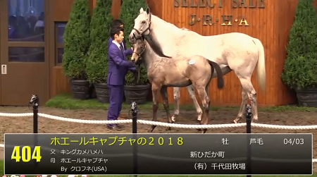 ハロン5382
