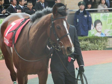 ハロン4915