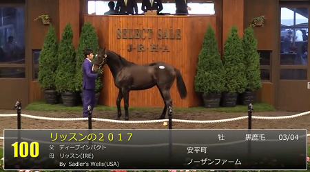 ハロン5338