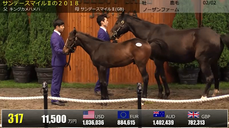 ハロン5351