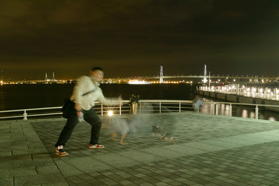 SDIM1481