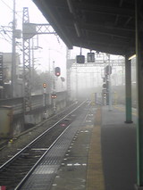 f4152e91.jpg