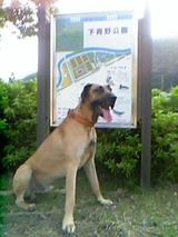 0cd0803f.jpg
