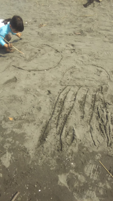 20170925クラゲ