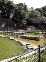 甘木公園 H190417