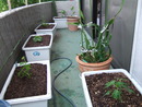 2012_0507釣り・熊本食材フェアー0003