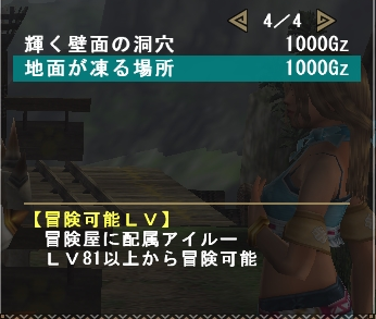 G級冒険ねこ