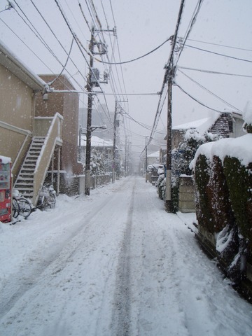 20120229