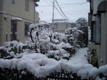 20120229_02