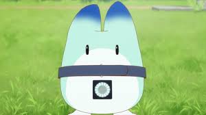 imagesK0F0AAIM