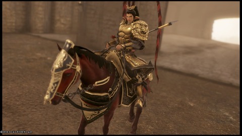 musou-ryohu1