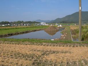 DSCN0583a