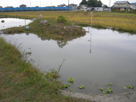 DSCN0597