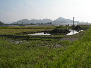 DSCN0581a