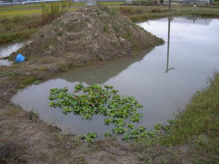 DSCN0595