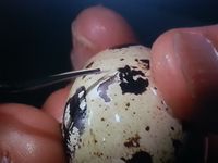 20160221_123842