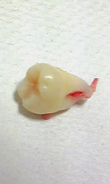 72ca17d8.jpg