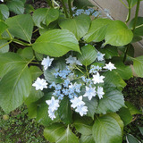 DSC00469