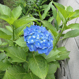 DSC00471