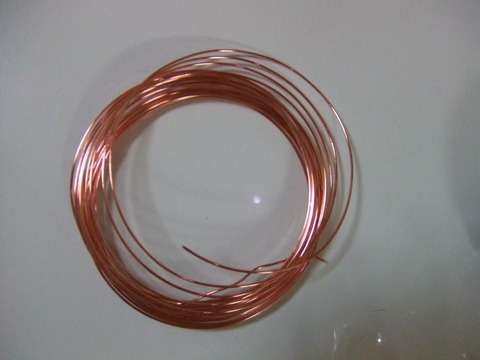 DSCF1747