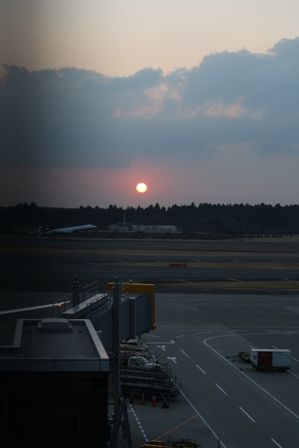 IMG_2915