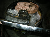 DSCN0160