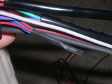 RIMG4121