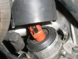 RIMG4702
