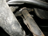 DSCN0084