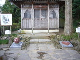 2010 march 26 022