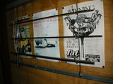 DSCN5224