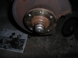 RIMG4690