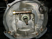 DSCN6772