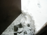 DSCN0229
