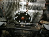 DSCN4542