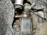 DSCN0116