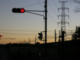 DSCN6453