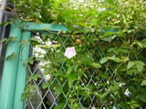 DSCN9599