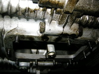DSCN6402