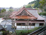 2010 march 26 023