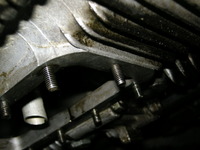 DSCN6404