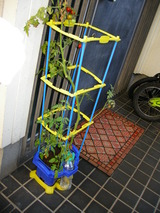 DSCN0335