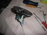 RIMG0512